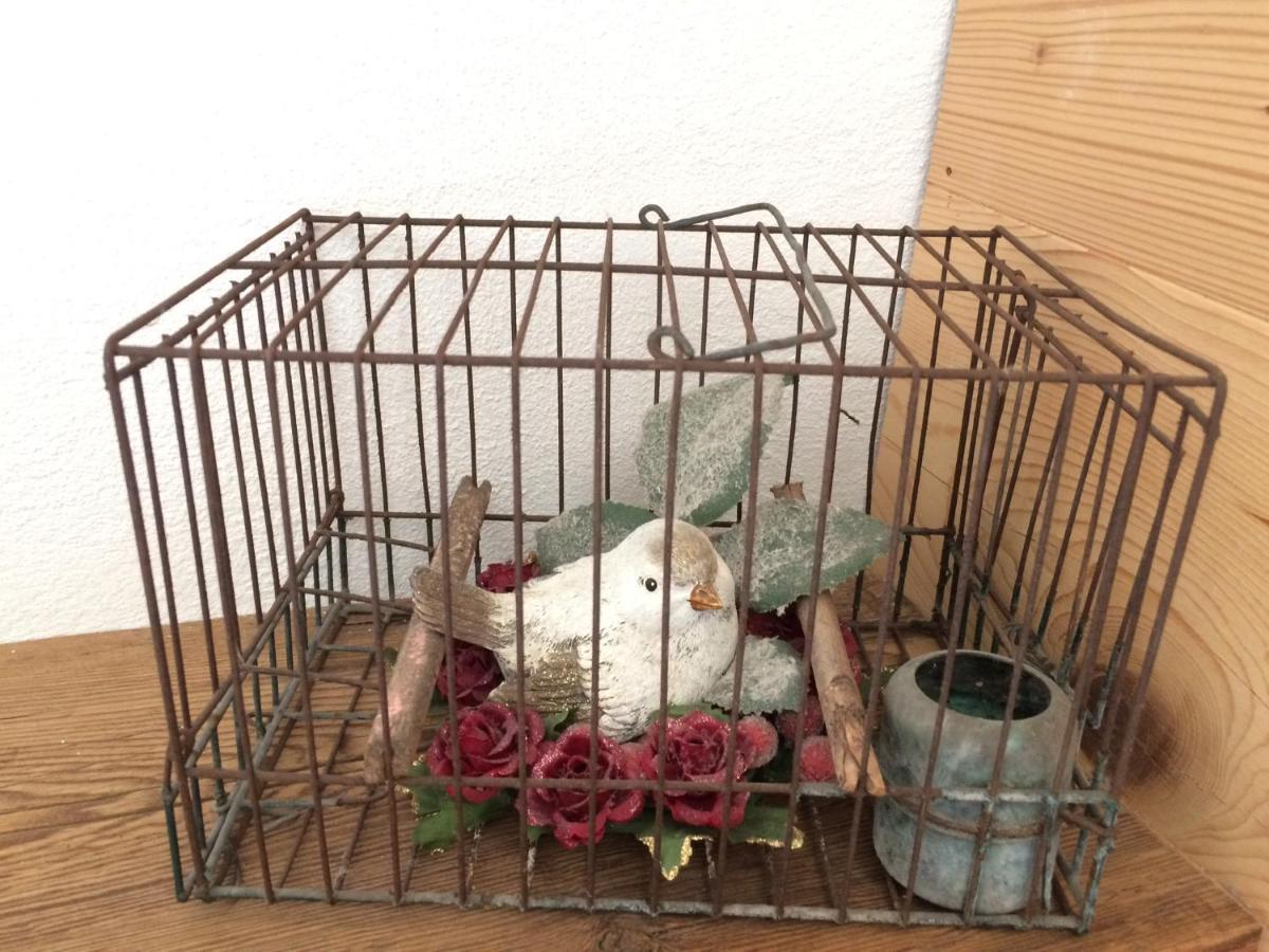 مبيت وإفطار دوميج دي كادور Fra Rose E Mughi المظهر الخارجي الصورة
